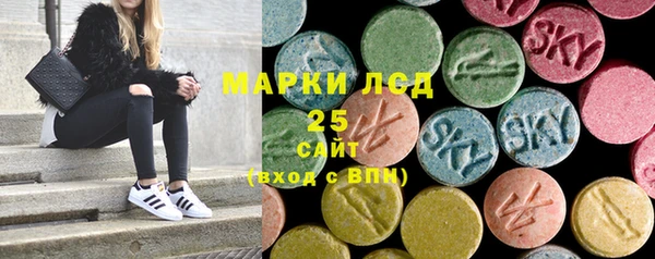 ECSTASY Белокуриха