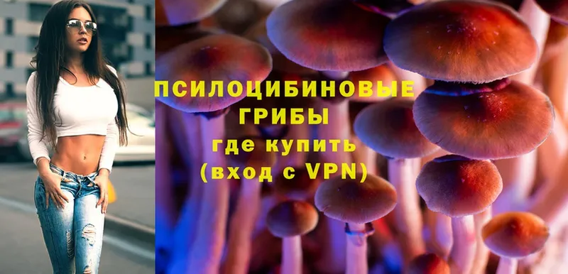 Псилоцибиновые грибы Cubensis  Новоульяновск 